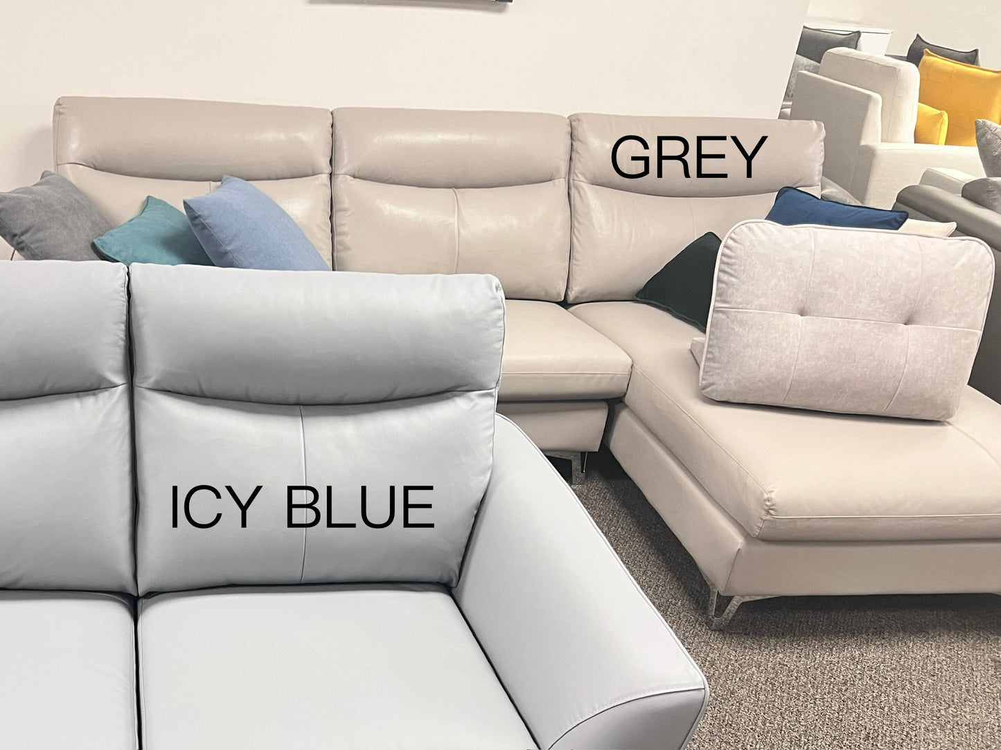 Coco Genuine Leather Sectional Sofa