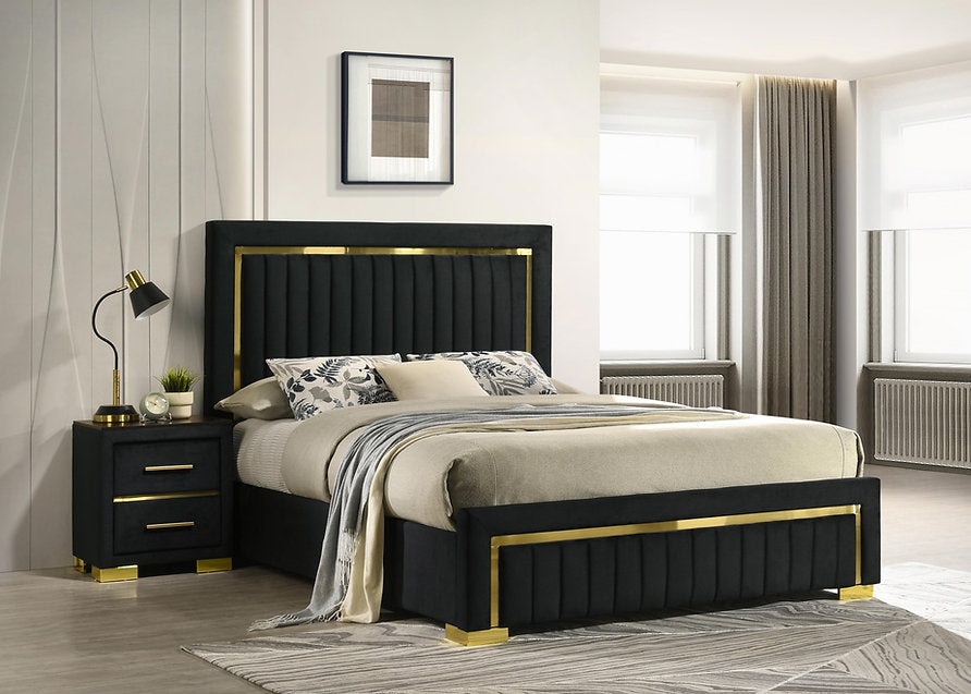 Black Velvet Bed with Gold Accent-Aurora(I100)