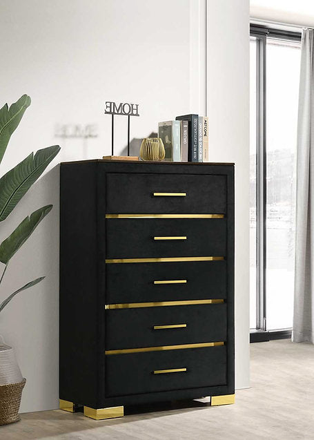 Black Velvet Bed with Gold Accent-Aurora(I100)