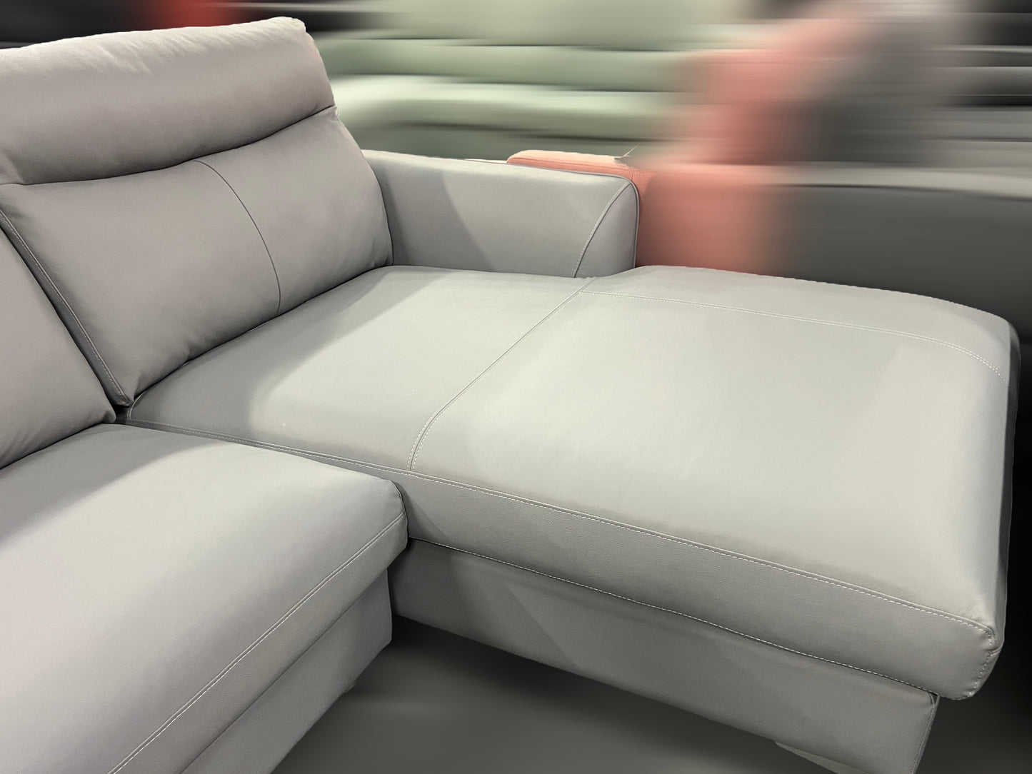 Coco Genuine Leather Sectional Sofa