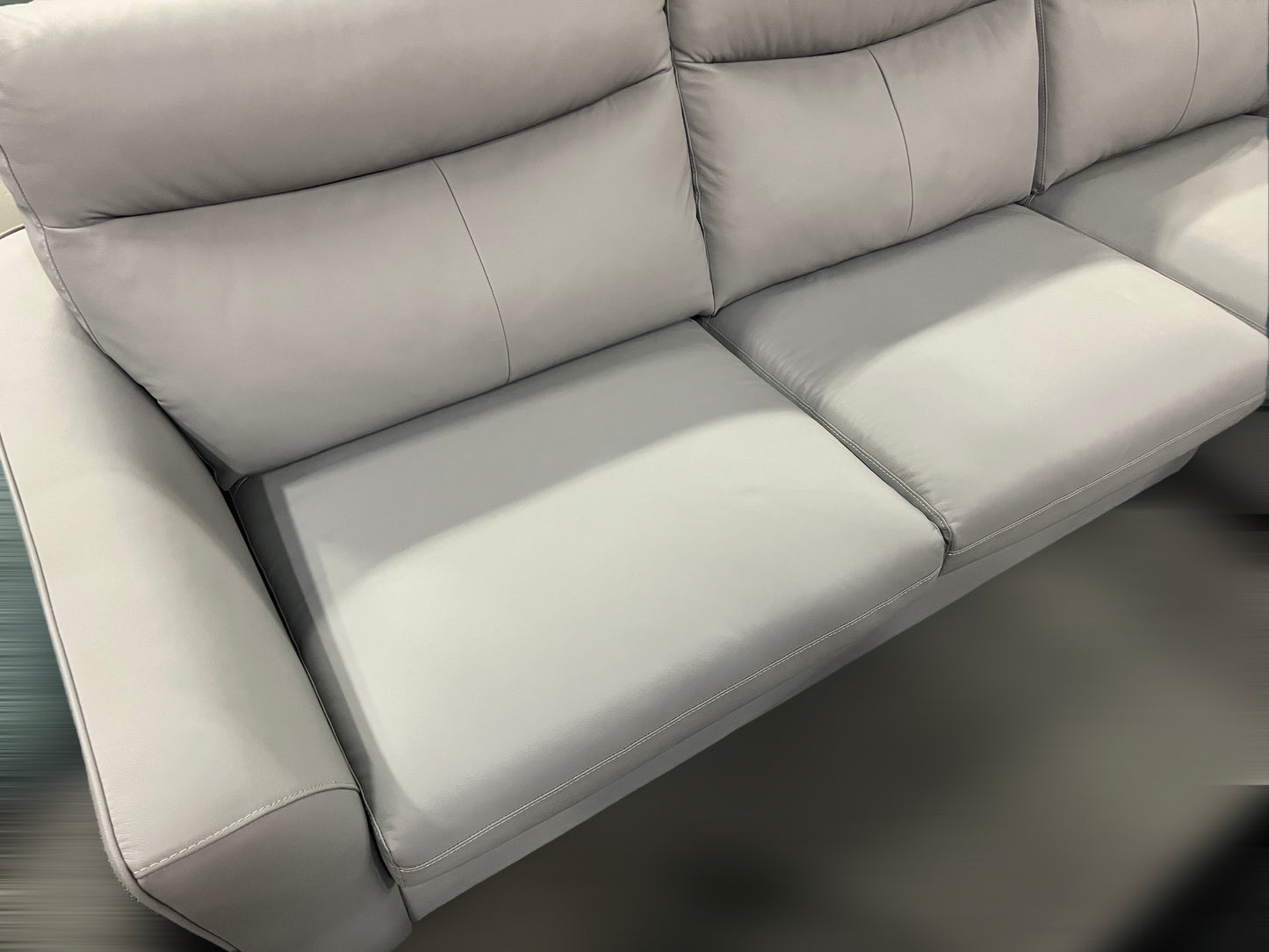 Coco Genuine Leather Sectional Sofa