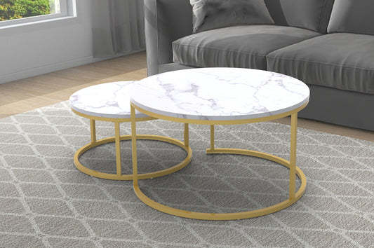 Marble Veneer Coffee Table Set-T5503