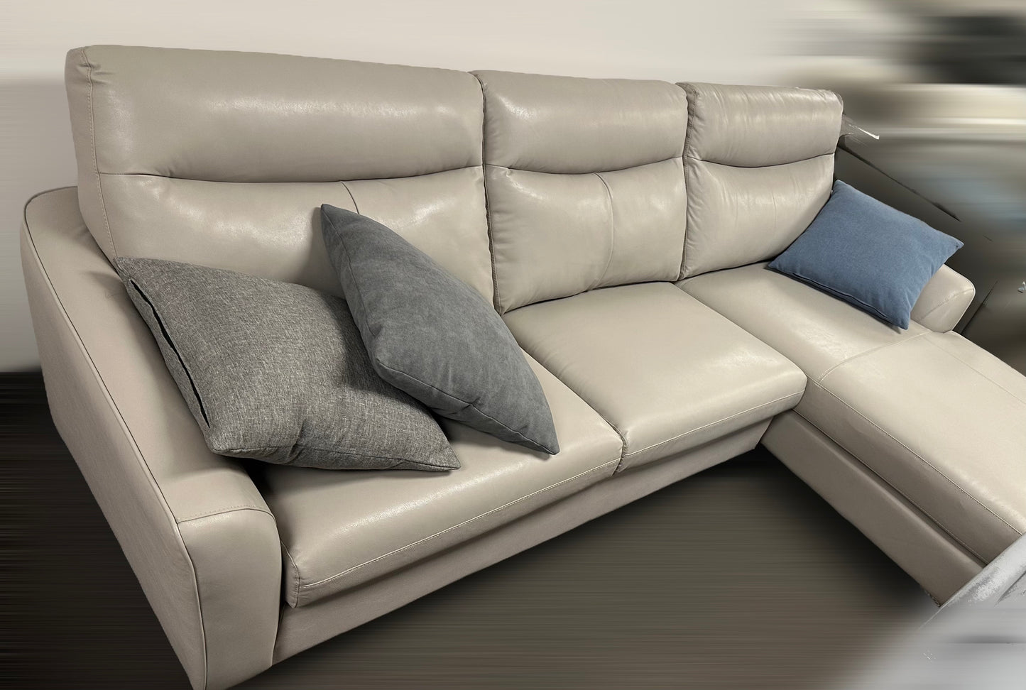 Coco Genuine Leather Sectional Sofa